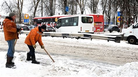 Контроль за состоянием корнеплодов