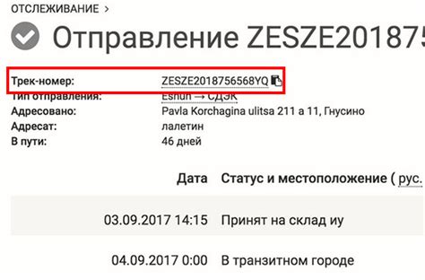 Контроль и надежность: забота о доставке через трек-номер