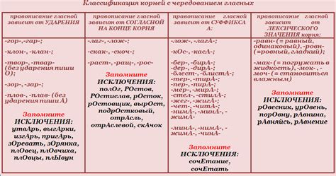 Корни слова "кассирша" и их связь с французским языком