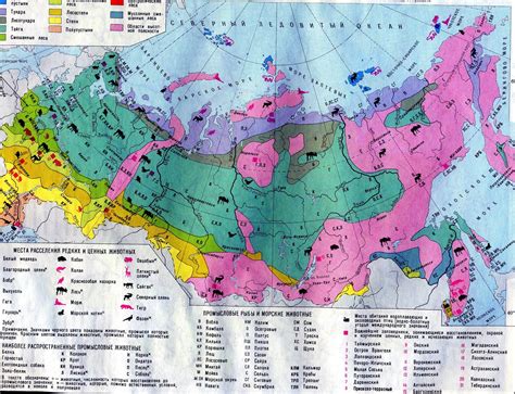 Крайние северные регионы России: необитаемые земли полюсных пустынь и уникальная тундра