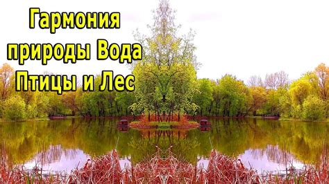 Красота и гармония: уединенные уголки природы сентябрьского побережья