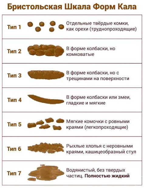 Критерии окончания курса кефира для собаки при проявлении поноса