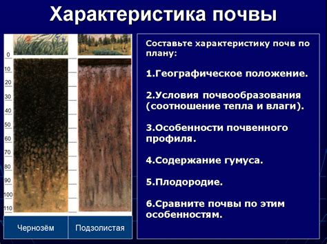 Крымский полуостров: плодородные почвы для различных культур