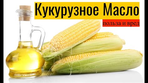 Кукурузное масло: богатый источник омега-6 кислот