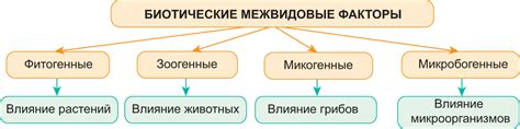 Культурные ценности и их влияние на отношение к окружающей среде