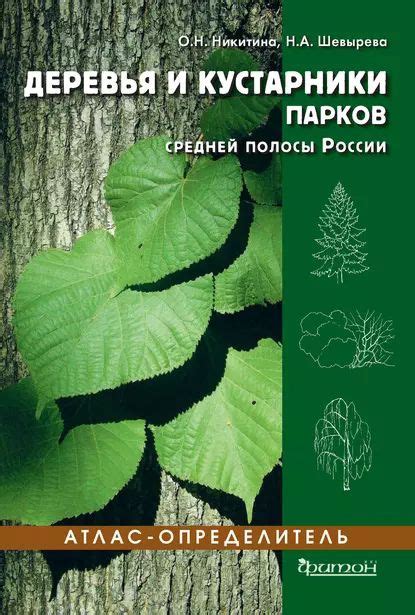 Кустарники и сады городских парков