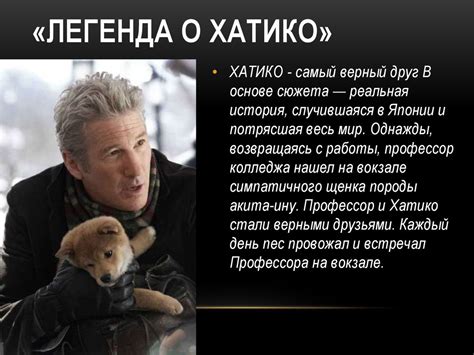 Легенда о Хатико: история верности и преданности