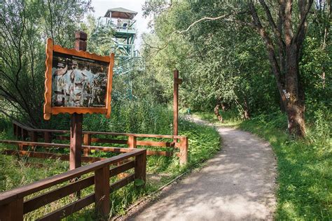 Лесные массивы и парки с природными тропами