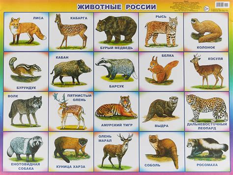 Лесные хозяйства и зоны для охоты