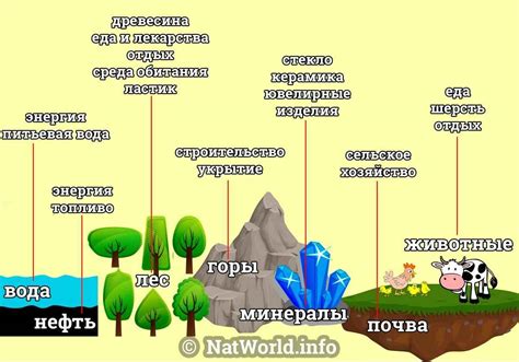 Лес и природные ресурсы