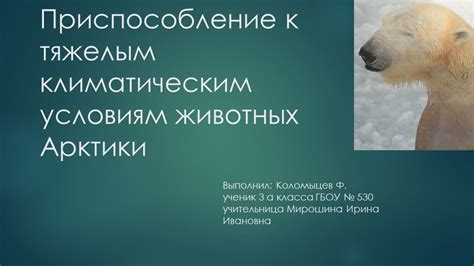 Лишайники в городах: приспособление к условиям городской среды