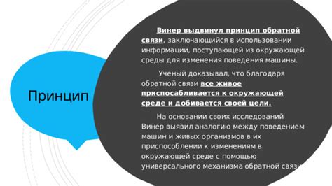 Локации с характерной для них особым поведением окружающей среды