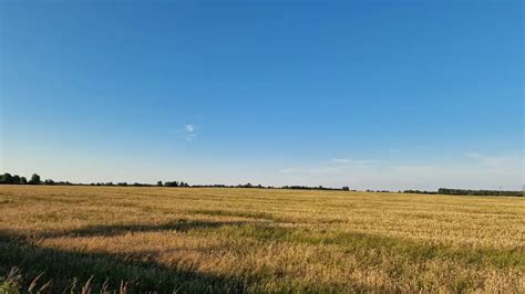 Лучшие советы для успешных походов по сбору грибов в Свердловской области