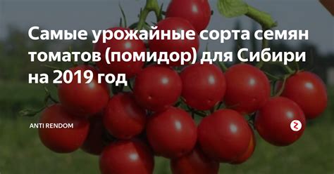 Лучшие сорта овощных семян для небольших площадей: урожай собственных овощей на балконе