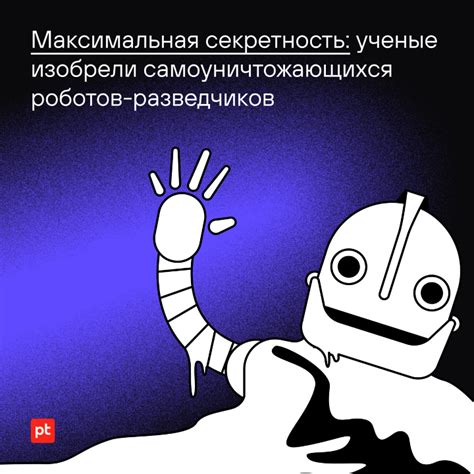 Максимальная неприкосновенность и секретность