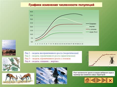 Математическое моделирование в биологических исследованиях