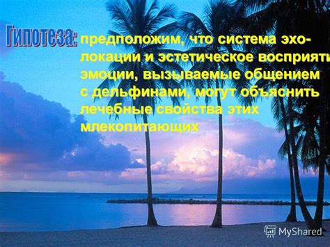 Медитативные свойства увиденного и гармоничные эмоции, вызываемые чудесами природы