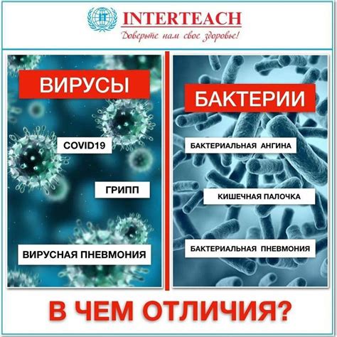 Медицина: свойства, способствующие борьбе с бактериями и применение в инструментах
