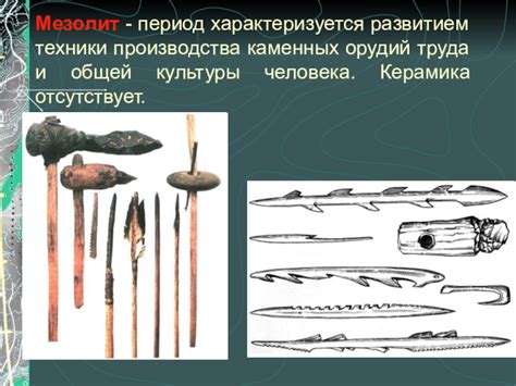 Мезолит и неолит: период каменных орудий и развитие сельского хозяйства