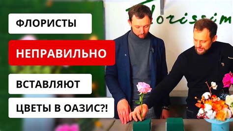 Мероприятия и фестивали, ожидающие вас в оазисе цветов