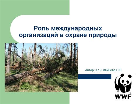 Меры по сохранению и охране дикой природы в окрестностях водного спуска