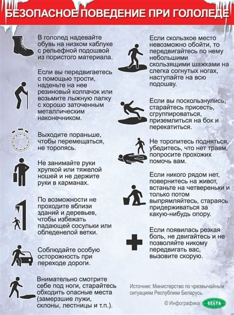 Меры предосторожности при пребывании рядом с хвойными ветками
