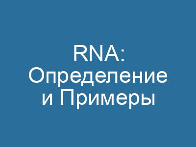 Мессенджерная РНК (mRNA) и ее роль в процессах клеточной коммуникации