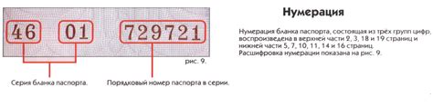 Места, где можно получить информацию о идентификационном номере организации