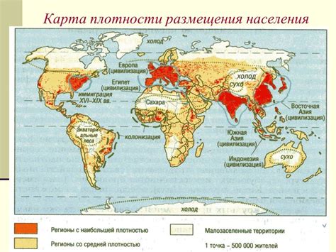 Места и территории с наибольшей вероятностью обнаружения каури и эффективные методы её добычи