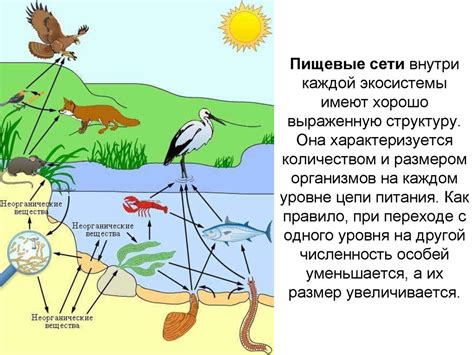 Места обитания тайных объектов внутри ограниченного экосистемы