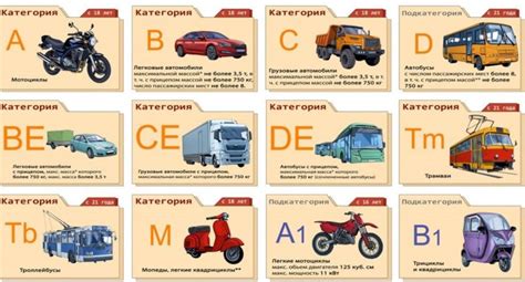 Места обучения и сдачи теоретического экзамена для получения прав категории А1