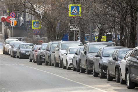 Места пребывания синиц вдоль дорог