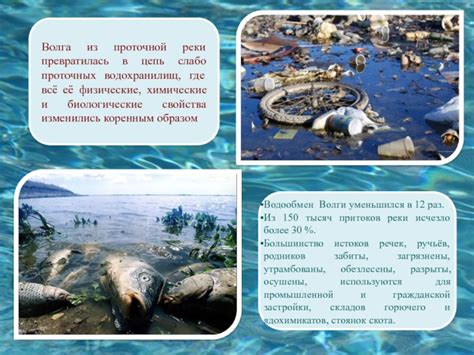 Места соединения проточной реки с океаном: изучение водной системы