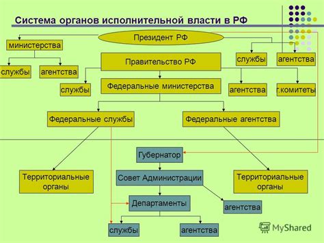 Местные органы исполнительной власти