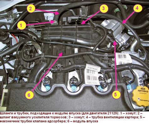 Местонахождение очистительного модуля в известной модели автомобиля