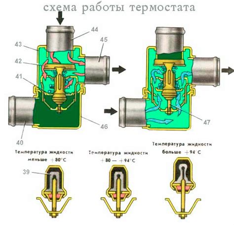 Местонахождение термостата в двигателях разных годов выпуска