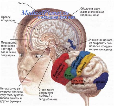 Местонахождение электронного соединителя в моторной части