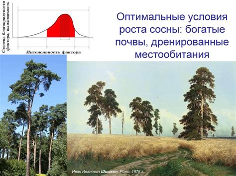 Местообитания и условия роста рядовок в Башкирии