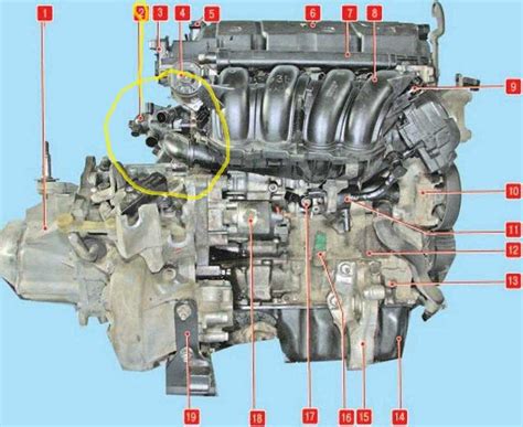 Местоположение двигателя в автомобиле 2106 карбюратор: путешествие внутри моторного отсека