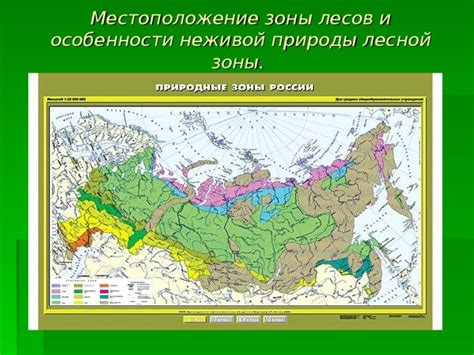 Местоположение и особенности лесной зоны в стране