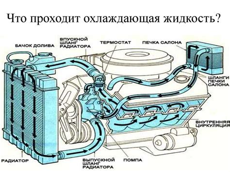 Местоположение насоса в системе охлаждения автомобиля