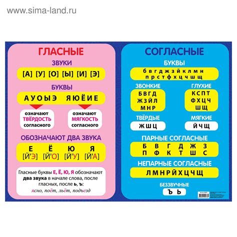 Местоположение ударений в слове "кровоточить": акцент на гласные и согласные звуки