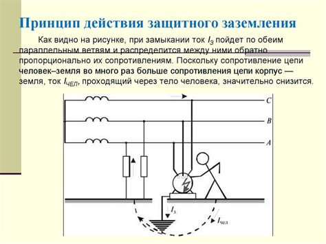 Место и принцип работы представителя защитного механизма