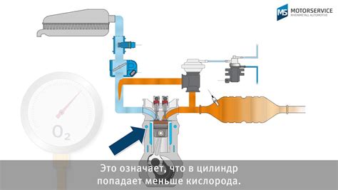 Место нахождения элемента для рециркуляции отработанных газов на транспортном средстве Газон Некст