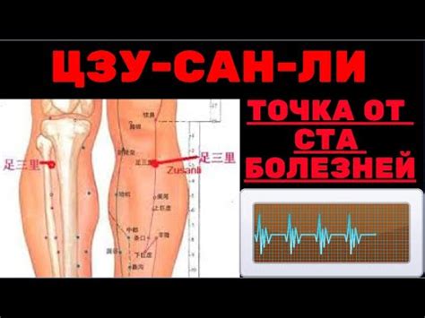 Методы активации Точки Дзу Сан Ли: вещества и техники