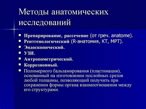 Методы исследования в анатомии: от старых методов до современных технологий