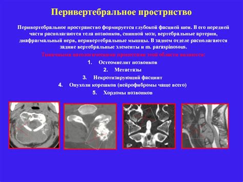 Методы и рекомендации для лечения заболеваний передней части головы