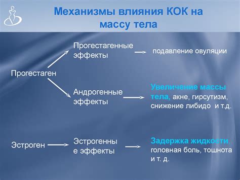 Механизмы воздействия сладостей на массу тела: обнаруженные факты и различные мнения