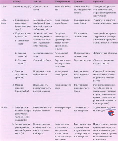 Механизмы действия Найз и Цитрамона: различия и сходства