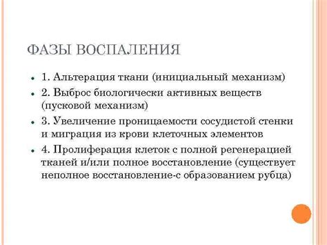 Механизм воздействия биологически активных элементов на структуры позвоночника